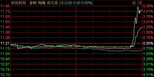 北交所震蕩調整 逾百股下挫，技術開發板塊承壓——以n鴻智超14%領跌為例
